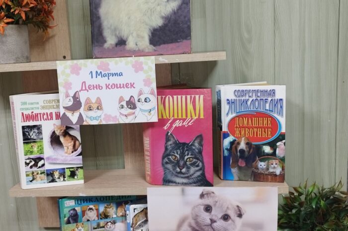 «Мой ласковый зверь»